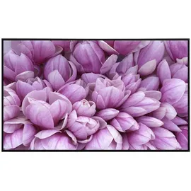 Papermoon Infrarotheizung EcoHeat 450 W Rosa Magnolie