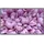 Papermoon Infrarotheizung EcoHeat 450 W Rosa Magnolie