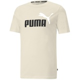 Puma Herren ESS+ 2 Col Logo Tee alpine snow XXL