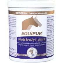Vétoquinol Equipur elektrolyt plus 1 kg