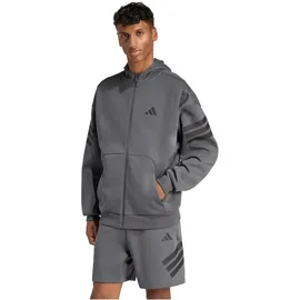 adidas Future Icons 3-Streifen Kapuzenjacke Herren Grau 3XL