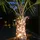 buttinette Lichterkette Solar LED 100 LEDs