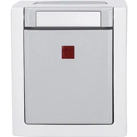Panasonic Ausschalter Kontroll-/Ausschalter 90591023-DE Grau