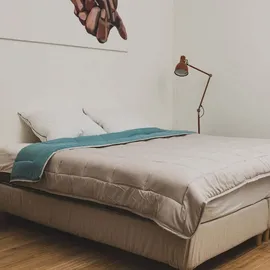 Poyet-Motte Mikrofaser Bettdecke 400g/m2 Grau Stein Grün See