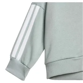adidas Essentials Jogginganzug Wonder Sage/White 92