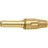 Geka Spritzdüse 3/4 Zoll 19 mm gold