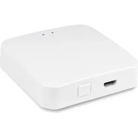 Fontastic WLAN Smart Home Gateway 1 St. Weiß