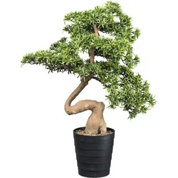 Kunstbonsai CREATIV GREEN "Bonsai Steineibe", grün, B:60cm H:90cm, Kunstpflanzen, in toller Größe