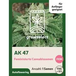 AK 47 | Automatik Cannabissamen von GrowSelect | 1 Hanfsamen