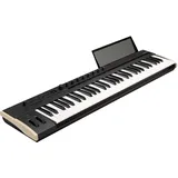 Korg Keystage 61