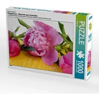 Calvendo Pfingstrosen - Ein Motiv aus dem Kalender Momente