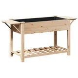 vidaXL Gartenpflanzer mit Regalen 155x59x76 cm Aus massivem Kiefernholz