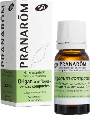 Pranarôm Oregano Mit Kompakten Blütenständen Ätherisches Öl Bio 10ml