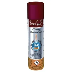 Bright Spark Butangas Kanister Nachfüllung 125G