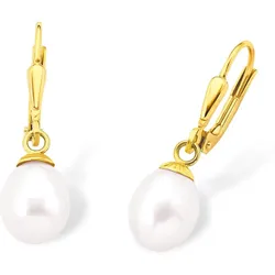 Perlenohrringe AMOR "2013828", gold (gelbgoldfarben, weiß), Ohrringe, Damen, Gelbgold 375-Perlen, Gelbgold 375, Perlen, mit Süßwasserzuchtperle