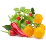 Click & Grow Click - Smart Garden Refill 9-pack Fruit and Veggie Mix
