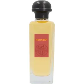 Hermès Rocabar Eau de Toilette 100 ml