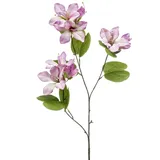 künstliche Orchidee Bauhinien lila H. 87cm Emerald Kunstblumen - Lila