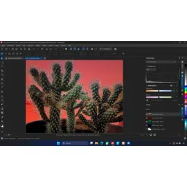 Corel CorelDRAW Graphics Suite 2026