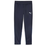 Puma teamGOAL Training Pant