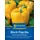 Kiepenkerl Paprikasamen, Blockpaprika Yellow California Wonder