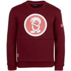 Kinder Sweatshirt Trolltunga Kastanienbraun Gr. 164 - 14 Jahre