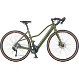 Prophete E-Bike Graveler 1.0«, 8 Gang, Shimano, Heckmotor 250 W, grün