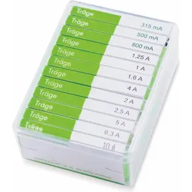 Eska 632.820 632820 Feinsicherung-Sortiment (Ø x L) 6.3 mm x 32 mm Träge -T- Inhalt 120 Teile