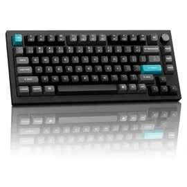 Keychron Q1 Ultra 8K POM Switch US