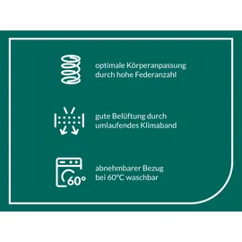 f.a.n. frankenstolz ProVita First Class T 80 x 190 cm H2