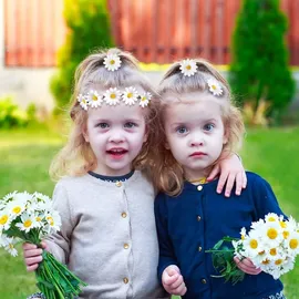 BETESSIN Blumen Stirnband mit Haarspangen