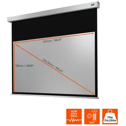celexon Leinwand Motor Professional Plus 220 x 124 cm