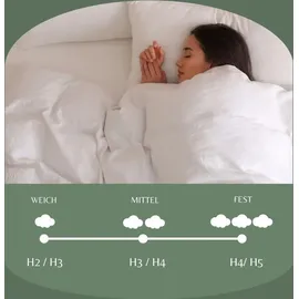 MSS e.K. MedicSpring 2-in-1 140 x 200 cm H2/H3