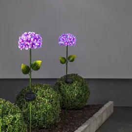 Star Trading LED-Solarstab"Hortensia" pink