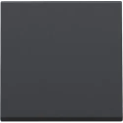 Niko Züblin 122-31002 Abdeckung für einen einzelnen elektronischen Schalter oder Taster, anthracite coated 12231002