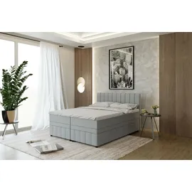 panda möbel Boxspringbett Doppelbett 160x200, Hellgrau, AVALON, mit Bettkästen, mit Matratze, mit Topper, Panda Möbel - Grau