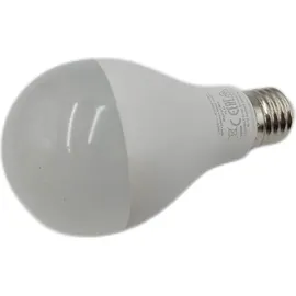 DeLock LED-Birne 150W E27 6500 K 1 St.