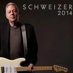 Schweizer 2014