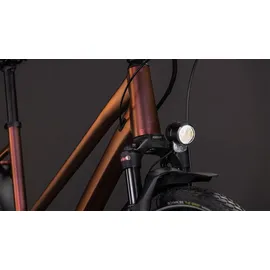 Cube Kathmandu Pro 2026 46 Zoll RH 46 cm braun