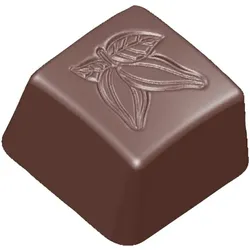 Esmeyer 1 x SCHNEIDER Schokoladen-Form Praline mit  Kakaobohnenprägung-K 26x26x16