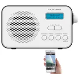 VR-Radio DAB Radio mobil: Mobiles Akku-Digitalradio mit DAB+ & FM, Wecker, Bluetooth 5, 8 Watt (Akkuradio, DAB+ Radio mit Bluetooth und Akku, Lautsprecher iPad)