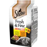 Sheba Fresh Fine Sachet – Nassfutter für Katzen in Sauce mit Huhn und Truthahn 12 x (6x50g)