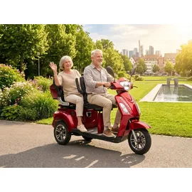 ECONELO E-Seniorenmobil Billy 2.0 3-Rad 1000 Watt Rot/Grau