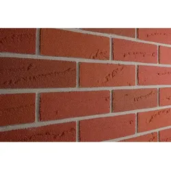 ELABRICK Verblender Oregon 71x240mm, Paketinhalt: 1m2