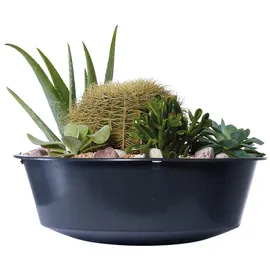 GARANTIA Vaso 2-in-1-Regenspeicher 220 l Agave