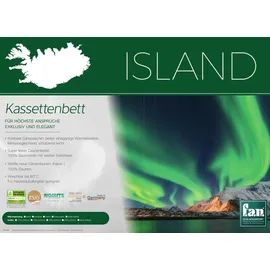 fan Island Winterdecke 200x220 cm, Daunendecke warm