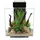 Fluval Edge 2.0 46l schwarz, 1 Stück (1er Pack)
