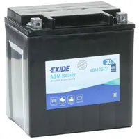 Exide AGM12-31 30 Ah 430 A