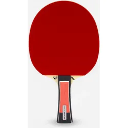 Tischtennisschläger Vereinssport 5 Schichten - Tibhar Lebrun Pro X 5* ITTF Einheitsfarbe Konkav