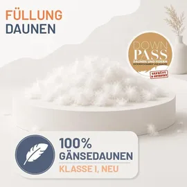 innovations2u ug (haftungsbeschränkt) Gänsedaunendecke »FIRST CLASS« – 100% Gänsedaunen, Größe: 135x200